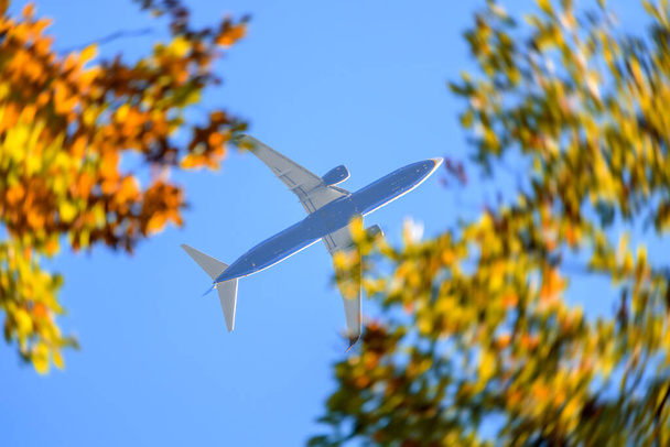 Commercial airplane jetliner flying above autumn colorful leaves. Travel concept - Valokuva, kuva