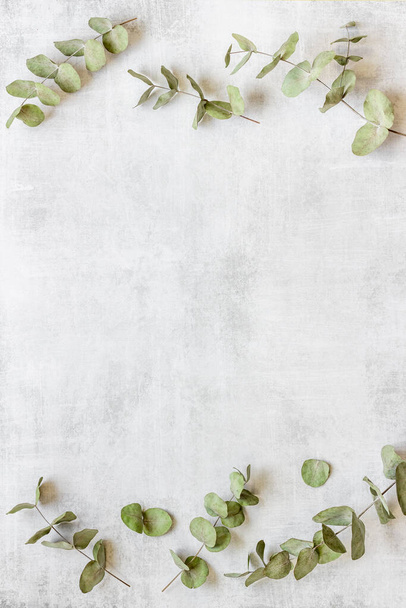 Πλαίσιο floral μοτίβο με φύλλα ευκαλύπτου και κλαδιά - Φωτογραφία, εικόνα