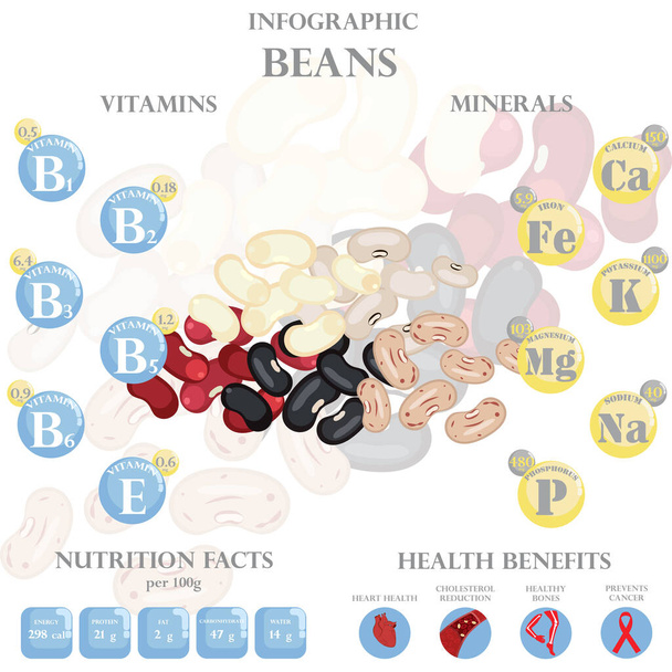 Fagioli fatti nutrizione e benefici per la salute infografica sullo sfondo bianco. Illustrazione vettoriale - Vettoriali, immagini