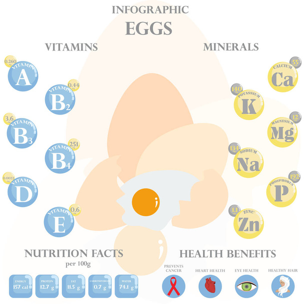 Vejce výživa fakta a zdravotní výhody infographic na bílém pozadí. Vektorová ilustrace - Vektor, obrázek