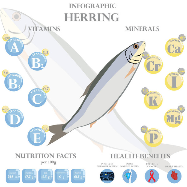 Infographie de la valeur nutritive du hareng et des bienfaits pour la santé sur fond blanc. Illustration vectorielle - Vecteur, image