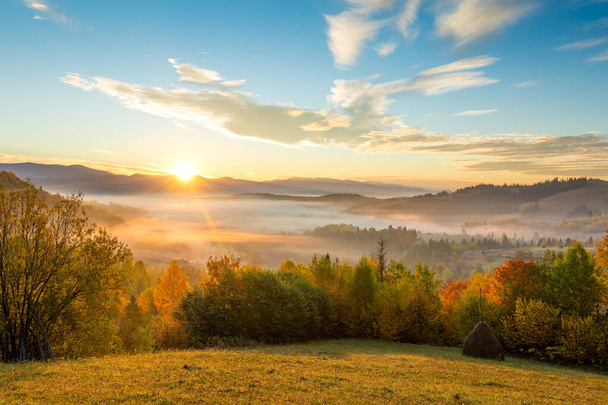 Autumn Mountain valley at sunrise. The sun rises and illuminates the colorful trees. Autumn. Carpathian Mountains, Ukraine, Europe - Foto, afbeelding