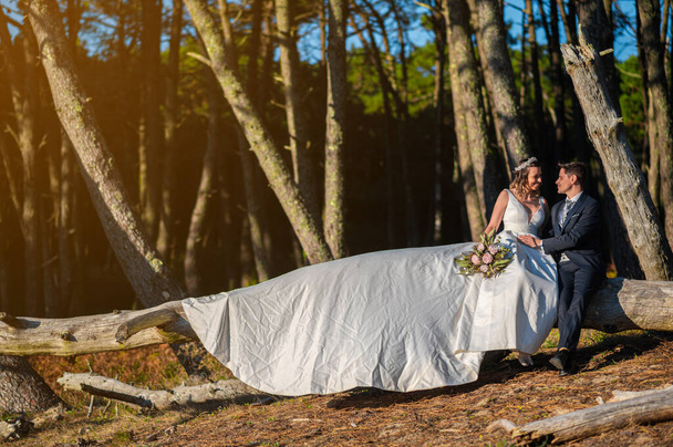 Coppia appena sposata seduta su un albero morto nella foresta - Foto, immagini