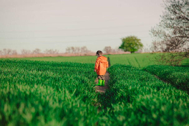 Niño preescolar divertirse en el campo de trigo verde en el país  - Foto, imagen