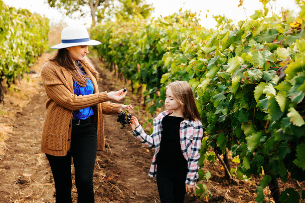 Young beautiful girl and little child walking through a vineyard - Fotó, kép