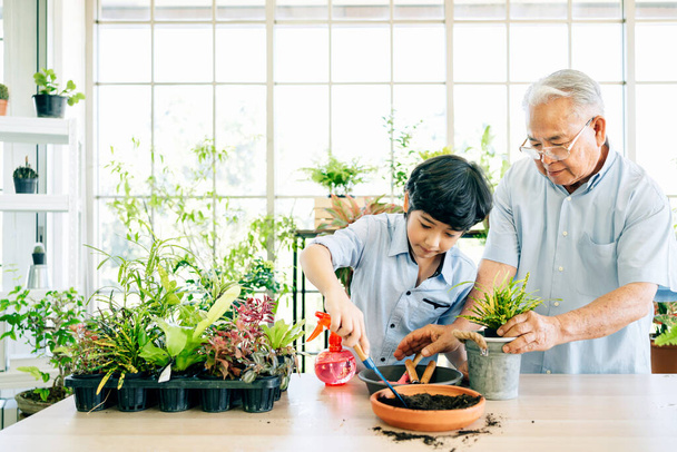 Un nonno in pensione asiatico e suo nipote trascorrono del tempo di qualità insieme a casa. Divertiti a prenderti cura delle piante raccogliendo il terreno per prepararti alla semina. Il legame familiare tra bambini e adulti - Foto, immagini