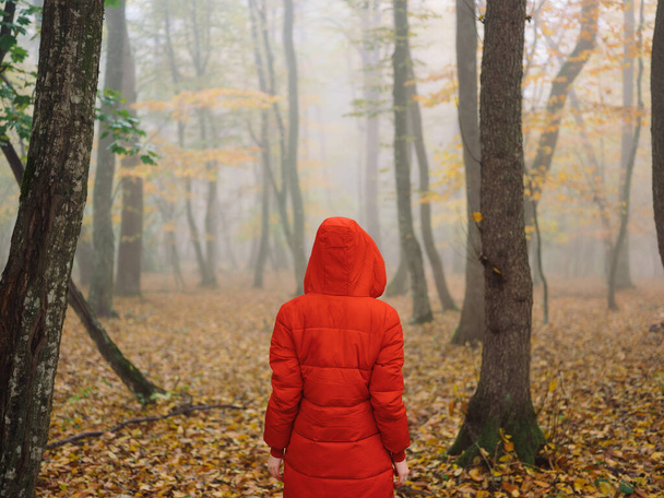 жінка в червоній куртці осіннє листя дерева гуляють туманом
 - Фото, зображення