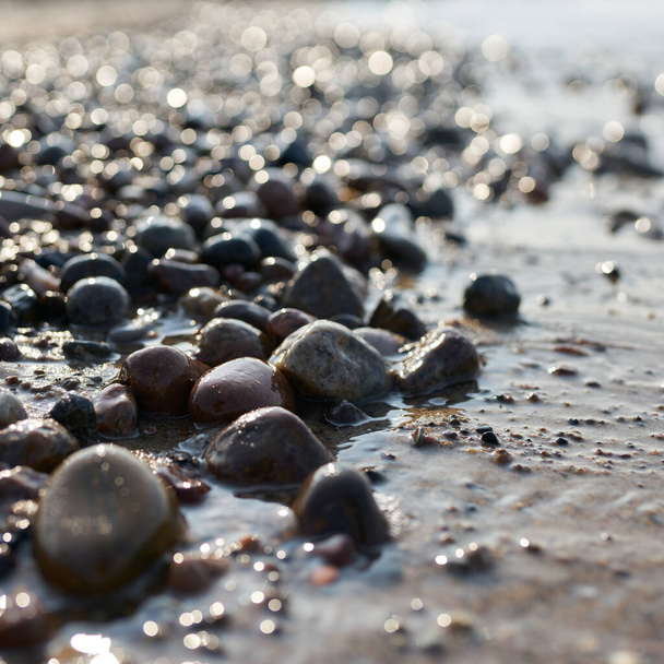   Kivet Puolan Itämeren rannikon rannalla Kolobrzegin lähellä auringonlaskun aikaan taustavalossa                               - Valokuva, kuva