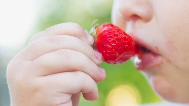 Baby girl caucasian eats ripe juicy strawberries close up - Foto, Imagen