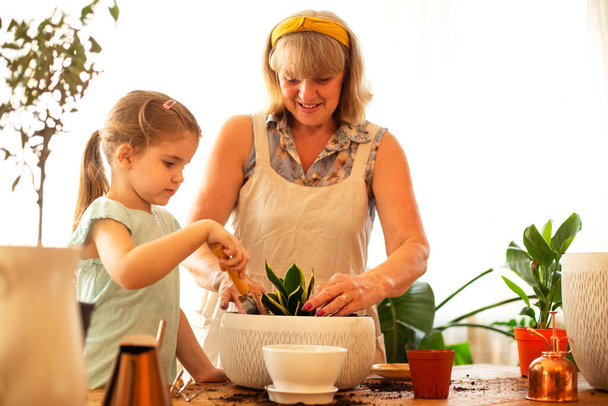 Nettes kleines Mädchen hilft ihrer Großmutter beim Umtopfen von Zimmerpflanzen, während sie gemeinsam im heimischen Garten arbeitet, fokussierte Enkelin hält Metallkanne und gießt grüne Pflanze mit Oma - Foto, Bild