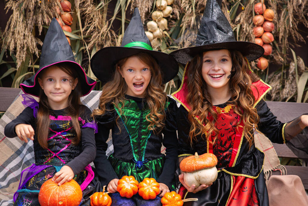 Ευτυχισμένα κορίτσια με στολή μάγισσας και πολλές κολοκύθες το φθινόπωρο του Χάλογουιν. - Φωτογραφία, εικόνα
