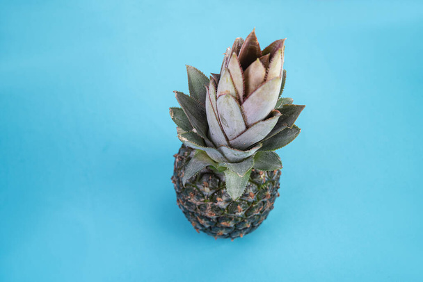 Mavi arka planda ananas - Fotoğraf, Görsel