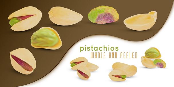 Realistic dry pistachios nuts with shell isolated on white and brown background. - Vector, Image