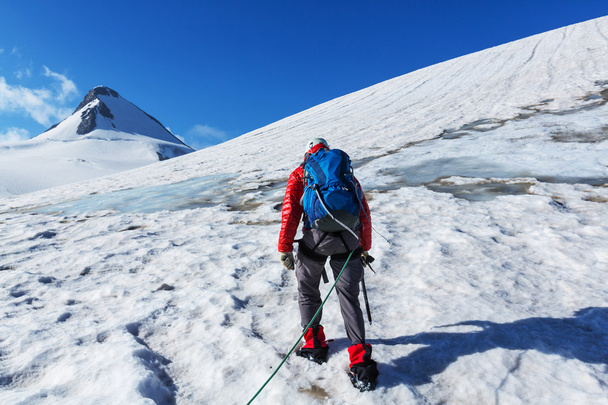 klimmer op gletsjer - Foto, afbeelding