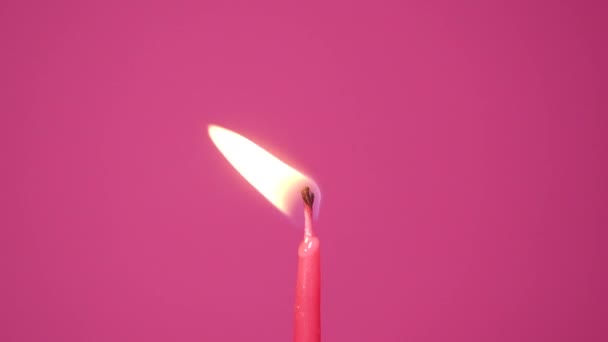 ピンクの背景で燃えるケーキキャンドルを1つ吹いてください。燃えるピンクやマゼンタケーキキャンドルに閉じます。フルHD解像度スローモーション幸せな誕生日や記念日のビデオ - 映像、動画