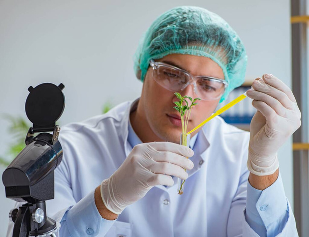 Biotechnology scientist working in the lab - Photo, Image