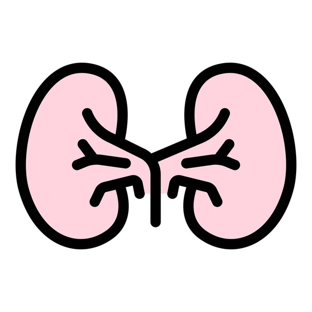 Kid kidney icon color outline vector - Vector, Image