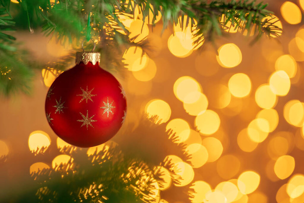 Red christmas ball hanging on fir tree branch over golden bokeh lights background - Foto, immagini