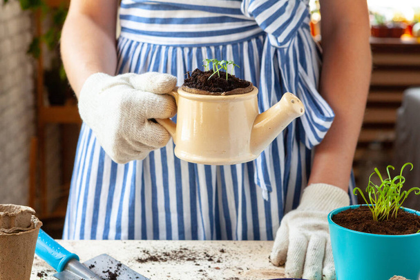 Woman holding a pot with a sprout in her hands. Gardening concept - Foto, Imagem