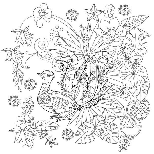 Contour linear illustration for coloring book with lyrebird in flowers. Tropic bird,  anti stress picture. Line art design for adult or kids  in zen-tangle style, tattoo and coloring page. - Vecteur, image