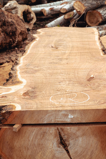 Corta el tronco del árbol en el aserradero. Producción de madera - Foto, imagen