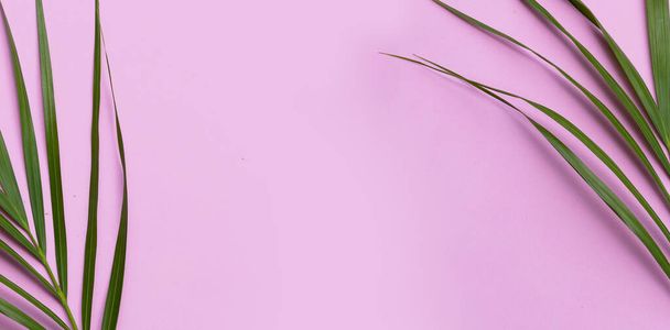 Tropical palm leaves on pink background. Summer background concept - Foto, afbeelding