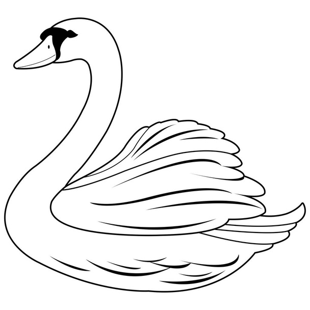 A beautiful white swan. Vector black and white coloring page - Wektor, obraz