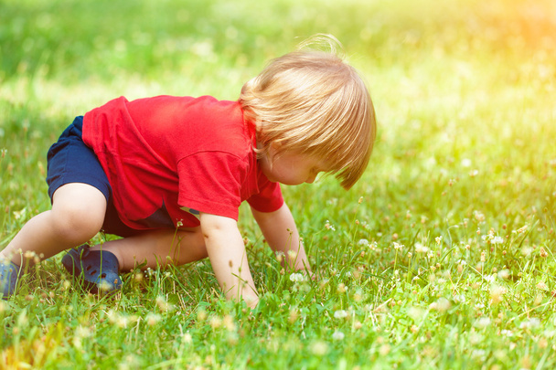 Boy crawling in  grass - Фото, изображение