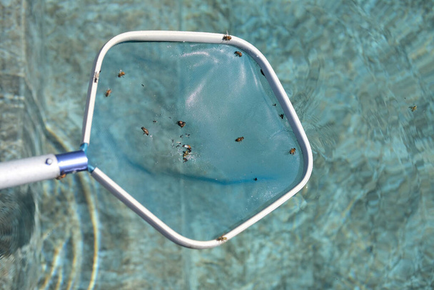 A top view of a mosquito net on the background of the water surface. - Foto, imagen