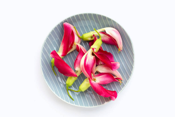 Sesbania Grandiflora flor en plato sobre fondo blanco. - Foto, imagen