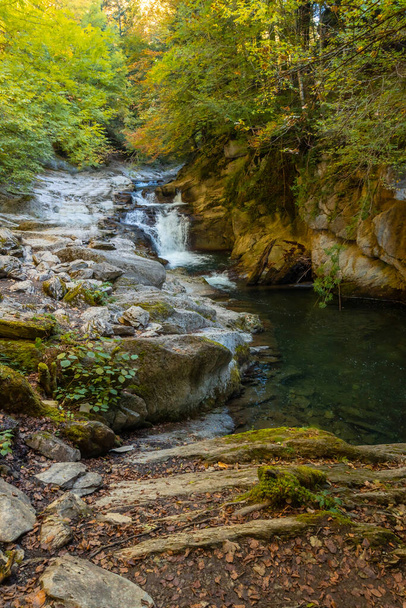 Irati forest or jungle in autumn, Cubos waterfall. Ochagavia, northern Navarra in Spain - 写真・画像