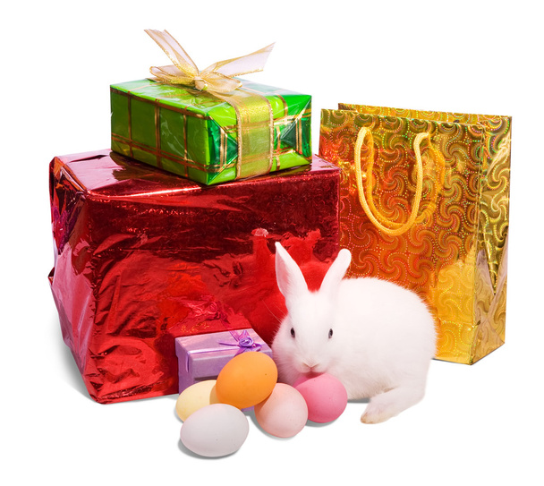 Easter rabbit with gift - Foto, Imagem