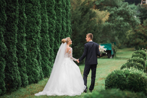 Happy wedding couple walking in a botanical park - Photo, image