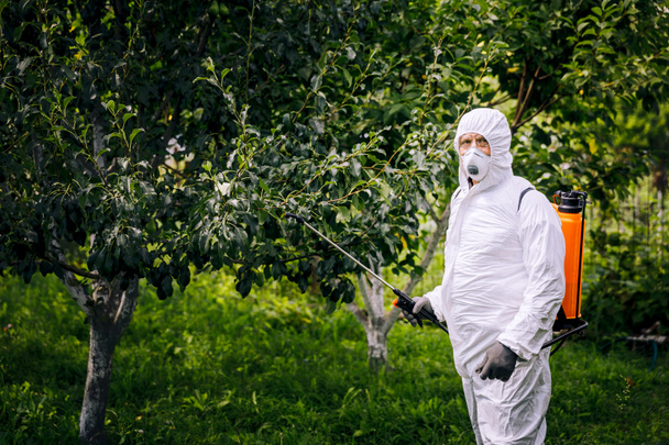 Het onderwerp industriële landbouw. Een persoon spuit giftige pesticiden of insecticiden op een plantage. Onkruidbestrijding. - Foto, afbeelding