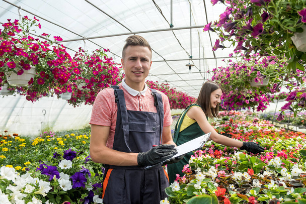Nuori pari kukkakaupat työskentelevät kukkia ja kasveja kasvihuoneessa. Perheyritys - Valokuva, kuva