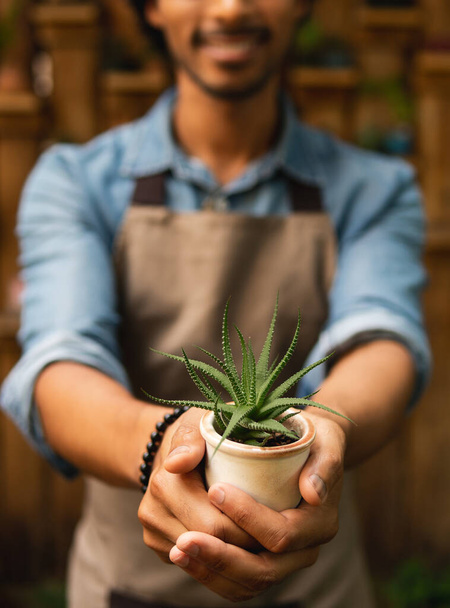 Детали рук, предлагающих бонсай растение в саду - Фото, изображение