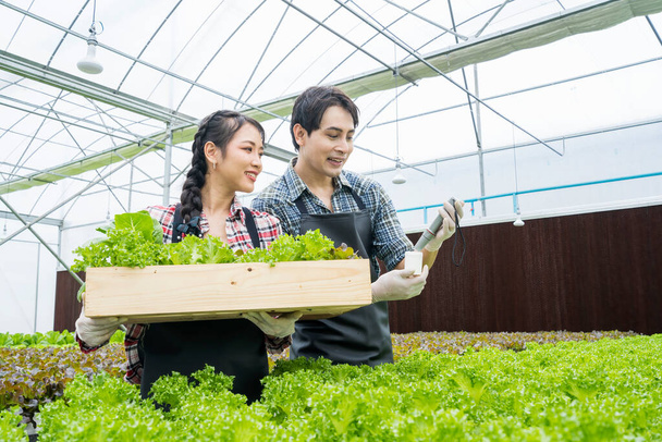 Culture de légumes verts hydroponiques dans une ferme intelligente. Les jardiniers vérifient la qualité de l'eau dans leurs jardins hydroponiques. - Photo, image