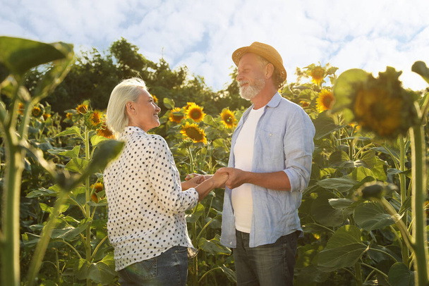 Happy mature couple in sunflower field on summer day - Photo, Image