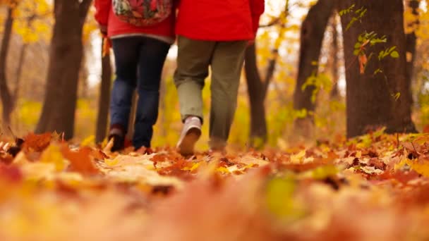 Primo piano di una gente gambe in stivali che camminano nella foresta di autunno su foglie gialle. - Filmati, video