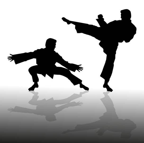 Karate mannen - Vector, afbeelding