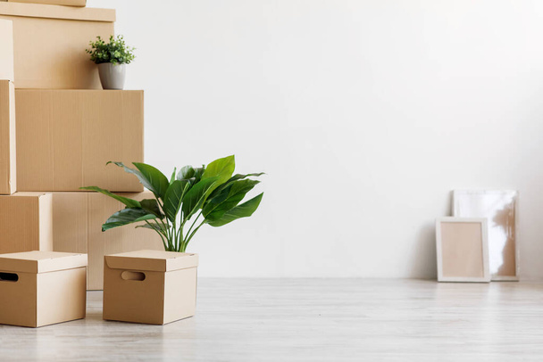 Stack of different cardboard boxes with belongings and green plants in pots on floor - Valokuva, kuva