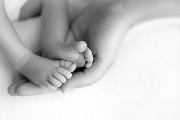 Feet of the newborn in the hands of mom close up. Mom and her child. A beautiful conceptual image of motherhood. - Zdjęcie, obraz