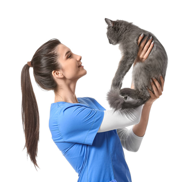 Female veterinarian holding cute cat on white background - Photo, image