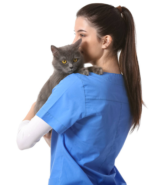 白い背景に可愛い猫を持つ女性獣医師 - 写真・画像