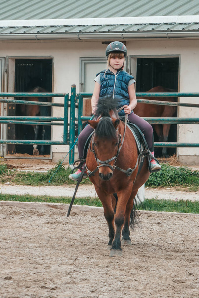 Красивые лошади на ферме в Австрии. Маленькая девочка занимается конным спортом. Ребенок едет на лошади. - Фото, изображение
