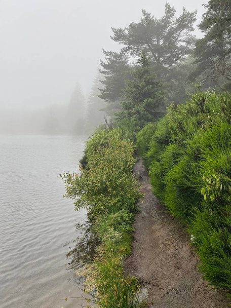 mattina lago nebbia sul lago Serviere e sentiero escursionistico, Alvernia, Francia - Foto, immagini
