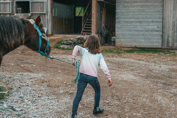 Beautiful horses on a farm in Austria. Little girl goes in for equestrian sports. The child is riding a horse. - Photo, Image