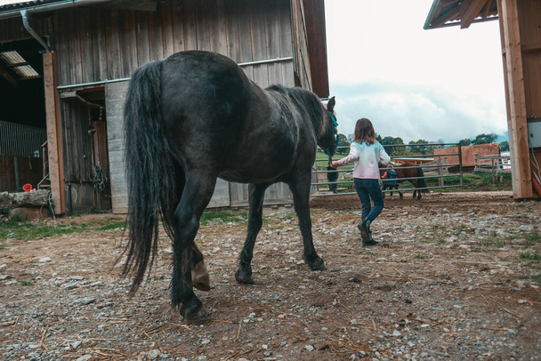 Prachtige paarden op een boerderij in Oostenrijk. Een klein meisje doet aan paardensport. Het kind rijdt op een paard. - Foto, afbeelding