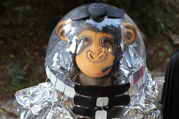 zbliżenie portret młodego człowieka w masce małpy w diy astronauta garnitur wykonane z folii na zewnątrz - Zdjęcie, obraz
