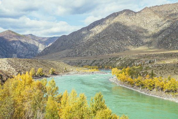Kolorowy jesienny krajobraz ze złotymi liśćmi na drzewach wzdłuż szerokiej turkusowej rzeki w słońcu. Jasna alpejska sceneria z dużą górską rzeką i żółtymi drzewami w złocistych jesiennych kolorach jesienią - Zdjęcie, obraz